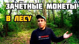 Поиск монет в лесу - зачётная находка