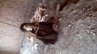 Scared woman she was kill every animal