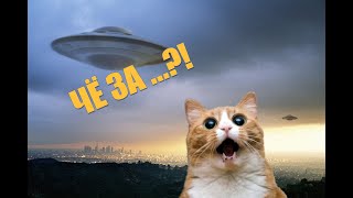 Пришельцы среди нас