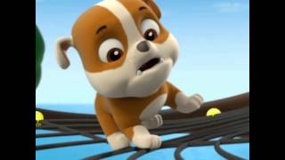 Paw Patrol