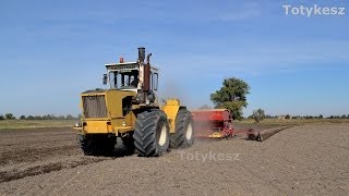 Rába Steiger 250 Vaderstad Rapid 400 S Búza Vetés