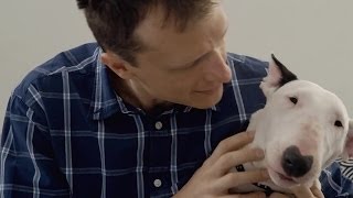 Missão pet; A Cadela agressiva; Alexandre Rossi