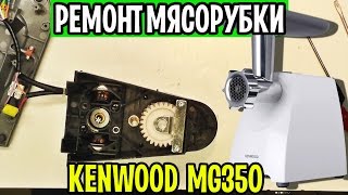 Самостоятельный ремонт мясорубка KENWOOD MG350 (MG35) Калининград