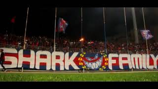 OCS 3 - 0 RSB 2019 ROAD TO AFRICA TIFO 3D ULTRAS SHARK ( ANNIMATION , CRAQUAGE )