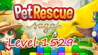 Pet Rescue Saga Level 1529 (NO BOOSTERS)