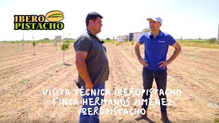 Visita Técnica IberoPistacho - Finca Hermanos Jiménez -IberoPistacho