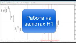 Обзор программы Good Day&Time