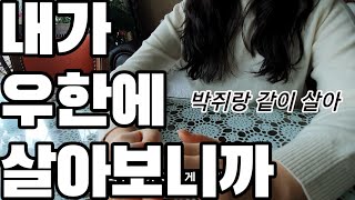 중국 우한에서 돌아온 지인의 우한 박쥐 이야기