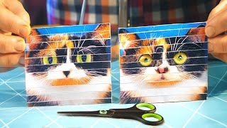 КАК ИЗ ОДНОЙ ФОТОГРАФИИ СДЕЛАТЬ ДВЕ