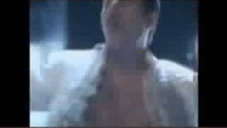 i was born to love you en español