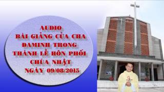 Bài giảng của Cha ĐaMinh trong Thánh Lễ hôn phối chúa nhật tuần XIX TN Ngày 09/08/2015.