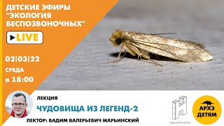 Детский эфир "Чудовища из легенд-2" курса "Экология беспозвоночных"