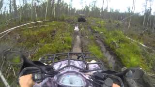CFMOTO X6 и Tinger на болоте