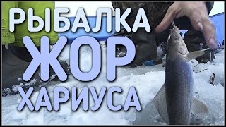 РЫБАЛКА / ЖОР ХАРИУСА ЗИМОЙ / 2 ЧАСТЬ ПОЕЗДКИ / НОЯБРЬ 2016