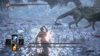 DARK SOULS 3 Хранитель могилы чемпиона и Великий Волк хранитель могилы - прохождение за мага