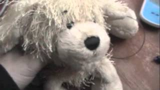 please watch VERY important! :'( ♥