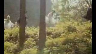 V.TRHÁK - Nech brouka žít...