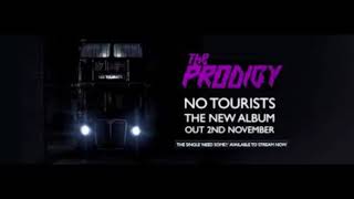 The Prodigy Resonate