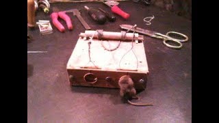 Реально простейшая , самодельная конструкция обычной мышеловки , из деревянного бруска.