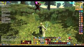 Gaming Live Everquest 2 (JVC)