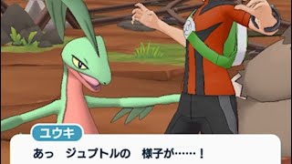 【ポケマス】 キモリをジュプトルとジュカインに進化！　ユウキ　バディーズエピソード　ポケモンマスターズ Pokemon Masters