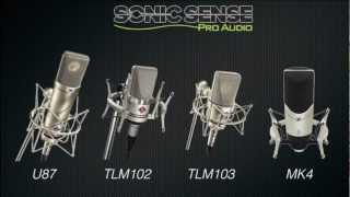 Neumann & Sennheiser Large Diaphragm Voice Over Microphone Comparison and Review