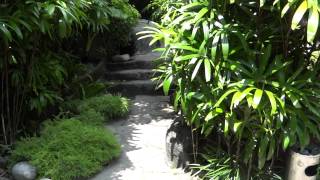 Aquarium Underwater World Langkawi, jungle / Аквариум и Джунгли