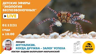 Лекция Вадима Марьинского "Мутуализм. Когда дружба – залог успеха" курса "Экология беспозвоночных"