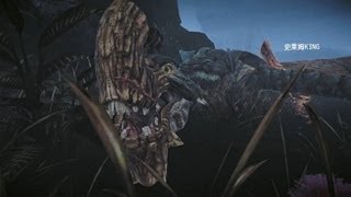 Monster Hunter Online 1080p Gameplay Gypceros [怪物猎人Online] [毒怪鸟]