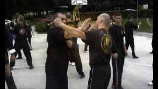 Wing Chun Master