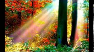 Ченнелинг 24.10.2013. Архистратиг Михаил - Морея (+ответы на вопросы)