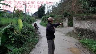 Cách bẫy chồn đèn của cao thủ, đơn giản hiệu quả ko ngờ. Thòng cước nhật, loa chuẩn ko có gì là khó