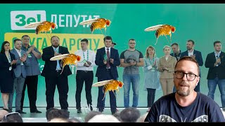 Слуга Народа вспомнила про дрозофилов