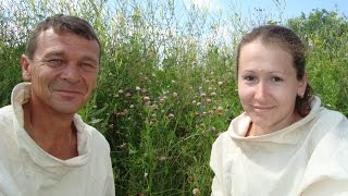 Зимовка на пасеке Скупновых Часть 1    подготовка точка