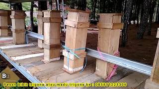 BUDIDAYA LEBAH TRIGONA