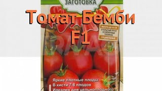 Томат обыкновенный Бемби F1 (bembi f1) ? томат Бемби F1 обзор: как сажать семена томата Бемби F1