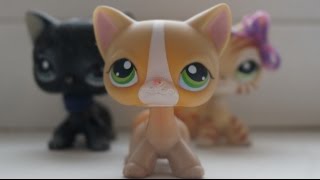 LPS - Уличный Бродяга - Серия 2