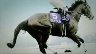 The LEGEND　2013年　JRA　CM 日本ダービー ウオッカ