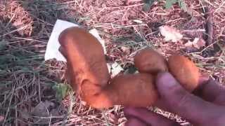 Что это???  гАвно или гОвно??? (ПРИКОЛ с монтажной пеной)