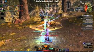 Neverwinter PvP- Oathbound Paladin