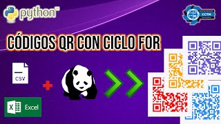 + ???? Generar y leer códigos QR a partir de archivos de Excel o CSV | qrcode, pyzbar | Pandas