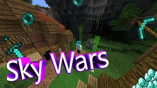 Sky Wars С ДРУЗЬЯМИ И ЧИТАМИ???!!!! (нет)