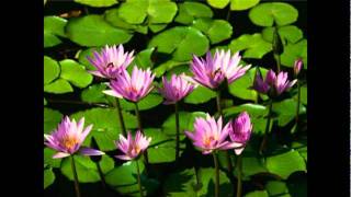 Mien song(Christian) by Sou