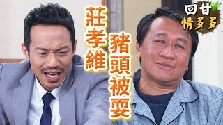 《回甘情多多》EP339 莊孝維 豬頭被耍