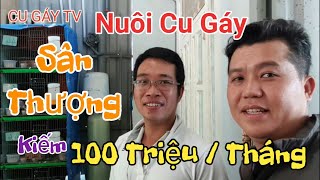 Thăm trang trại Cu Thái lớn nhất Sài Gòn
