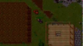 Sir Plantinha, the top lvl from Rook ( lvl 169 ) - The Mino Hell Quest