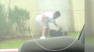 Police investigating dog abuse caught on camera