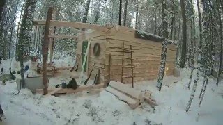 Избушка почти доделана. Западно-сибирские лайки. Снегоход.