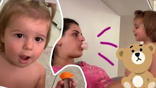 6 DIAS EM UM VÍDEO (Praia, cachorros e risadas)