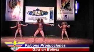 Video falcons